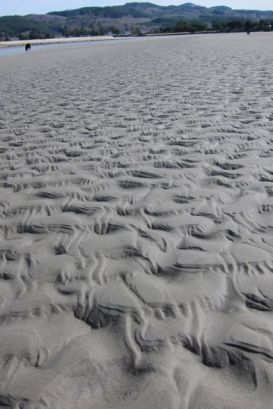 sand patterns © sagechronicles.wordpress.com