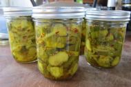 Making pickles
