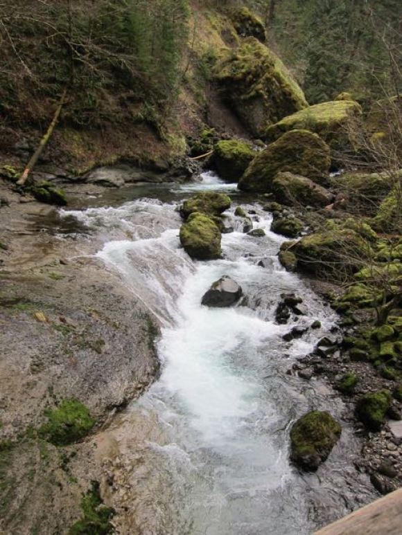 Tanner Creek rapids